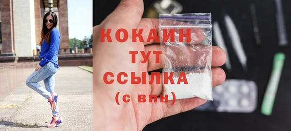 стаф Белокуриха