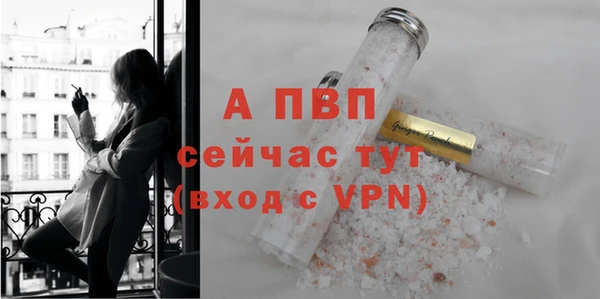 стаф Белокуриха
