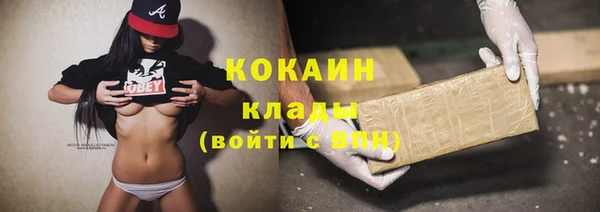 стаф Белокуриха