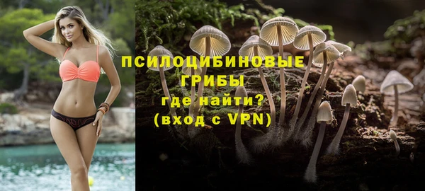 ПСИЛОЦИБИНОВЫЕ ГРИБЫ Беломорск