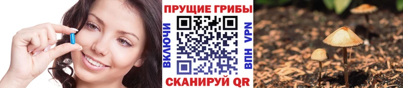 Галлюциногенные грибы Psilocybe  Верхний Тагил 